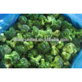 China frozen broccoli price